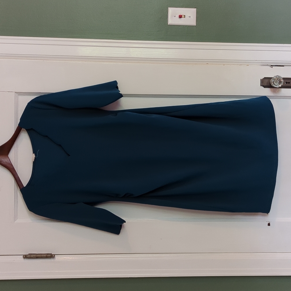 Pinkblush maternity dress